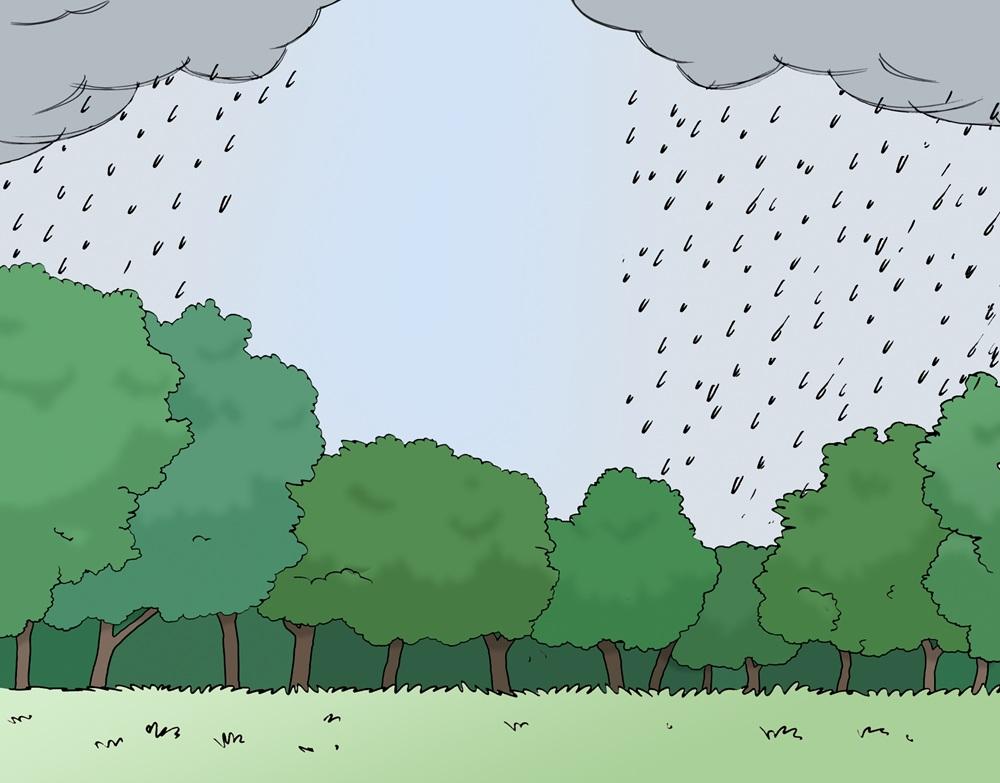 Wolken mit Regen über Bäumen