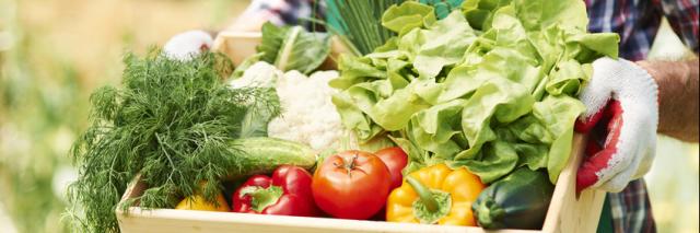 Korb mit Gemüse
