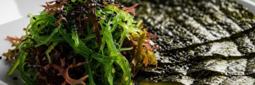 Algen angerichtet auf einem Teller
