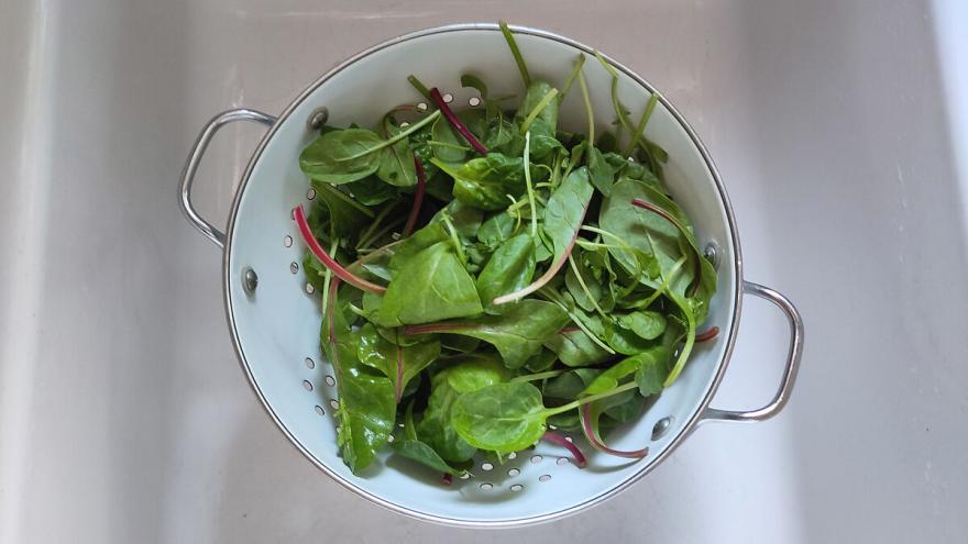 In einem weißen Sieb liegt vorgeschnittener Salat