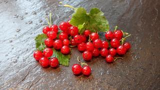 Rote Johannisbeeren mit Blättern