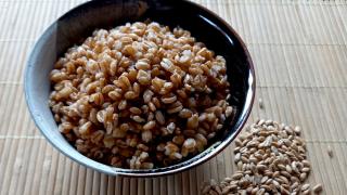 Ein Schüssel mit gekochtem Dinkelreis, daneben rohe Dinkelreiskörner.