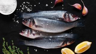 Vier Lachsforellen liegen auf einer schwarzen Platte, daneben zwei Zitronenspalten, eine kleine Schüssel mit grobem Salz und frische Kräuter