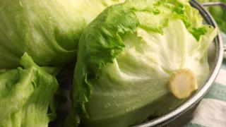 Zwei Köpfe Eisbergsalat liegen in einer Schüssel.