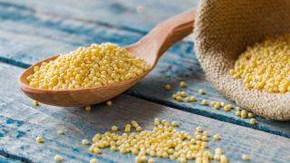 Auf einem Holztisch liegt ein Holzlöffel, in dem sich Hirsekörner befinden. Daneben liegt ein geöffneter Jutesack mit Hirsekörnern.