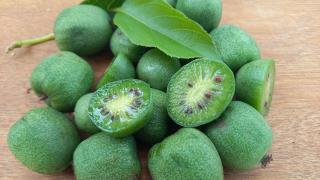 Kiwiebeeren liegen auf einem Holztisch. Eine davon ist halbiert.