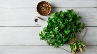 Ein Bund frischer Koriander liegt auf einem weißen Tisch, daneben eine kleine Schale mit Koriandersamen