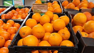 Saftorangen in Kisten