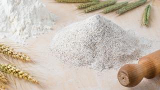 Zwei verschiedene Mehlhaufen befinden sich auf einer Arbeitsfläche, daneben liegen Getreidehalme und ein Teigroller