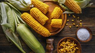 Maiskolben auf einem runden Holzteller, daneben Maiskörner in einer kleinen Holzschüssel.