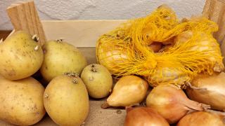 Kartoffeln und Zwiebeln liegen nebeneinander in einer Kiste.