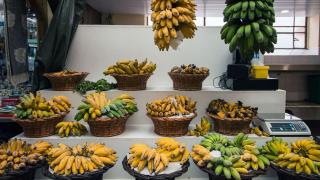 Bananen unterschiedlicher Färbung an einem Marktstand.