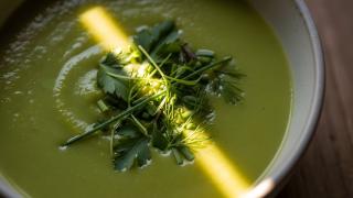 Ein weißer Teller mit einer grünen Suppe steht auf einem Holztisch. In der Mitte der Suppe befinden sich frische Kräuter.